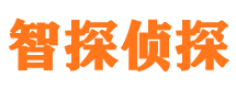 西峡私人侦探